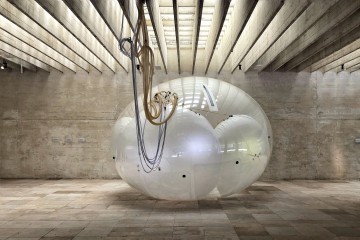 Acilen Harekete Geçin